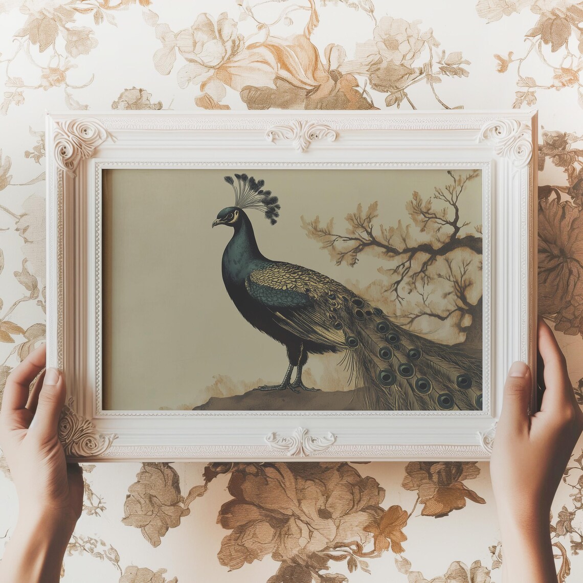 Peacock Vintage Bird Illustration Dark Academia Antique Poster