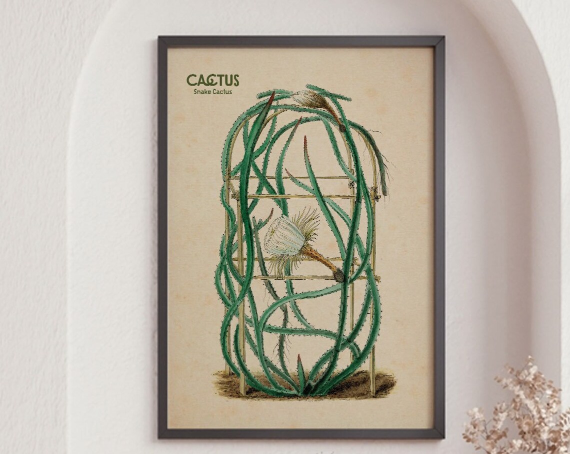 Cactus Wall Art, Desert Botanical Nursery Decor - Image 6