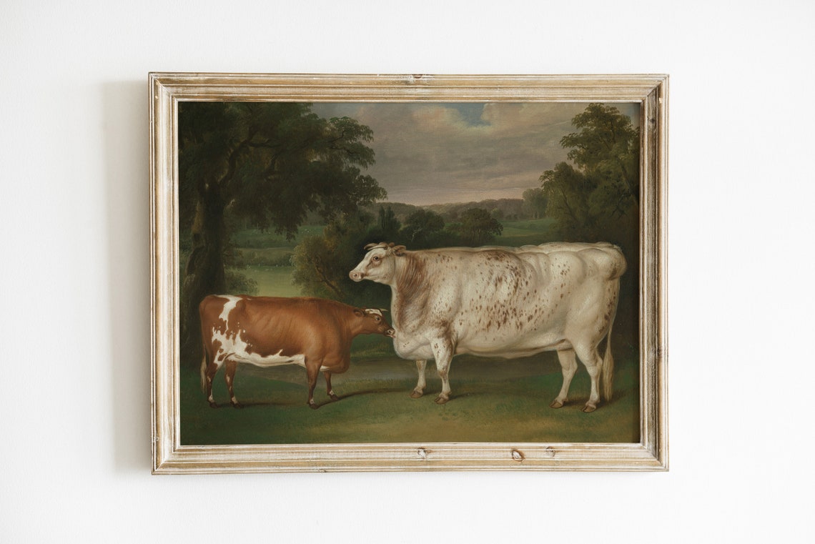 Vintage Cattle Portrait Brown Dairy Cows Pasture Farmhouse Art Print