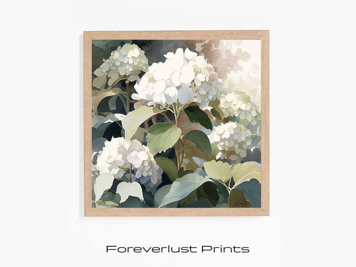 White Hydrangea Blooms Watercolor Painterly Floral Botanical Art Print - Image 2