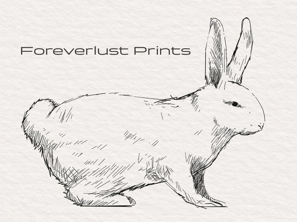 Rabbit Minimalist Ink Sketch Sitting Bunny Nursery Animal Art Poster - Image 2