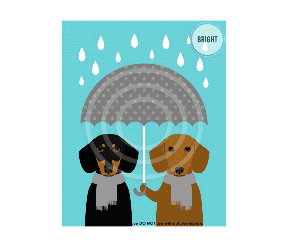 Two Dachshunds Sharing Umbrella in the Rain With Scarves Poster - Image 2