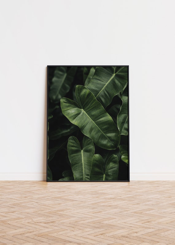 Jungle Theme Poster Wall Art Printed