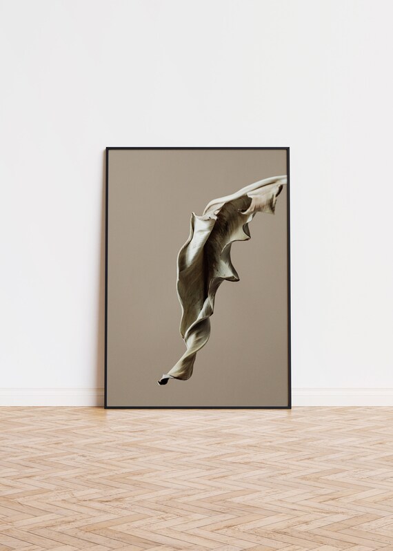 Floating Dried Leaf Taupe Beige Minimalist Botanical Art Poster