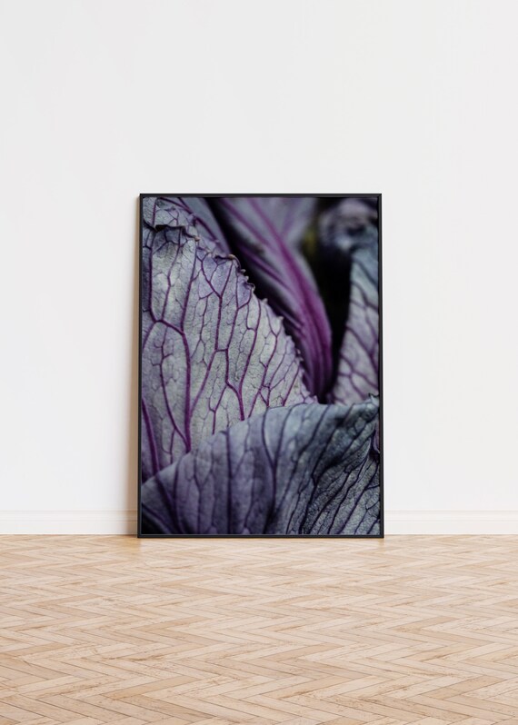 Purple Cabbage Leaf Macro Photography Botanical Texture Modern Print
