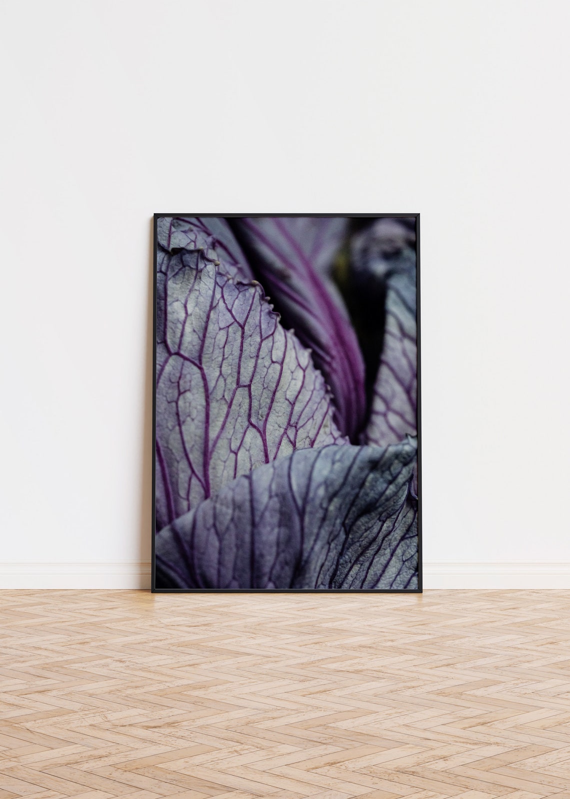 Purple Cabbage Leaf Macro Photography Botanical Texture Modern Print