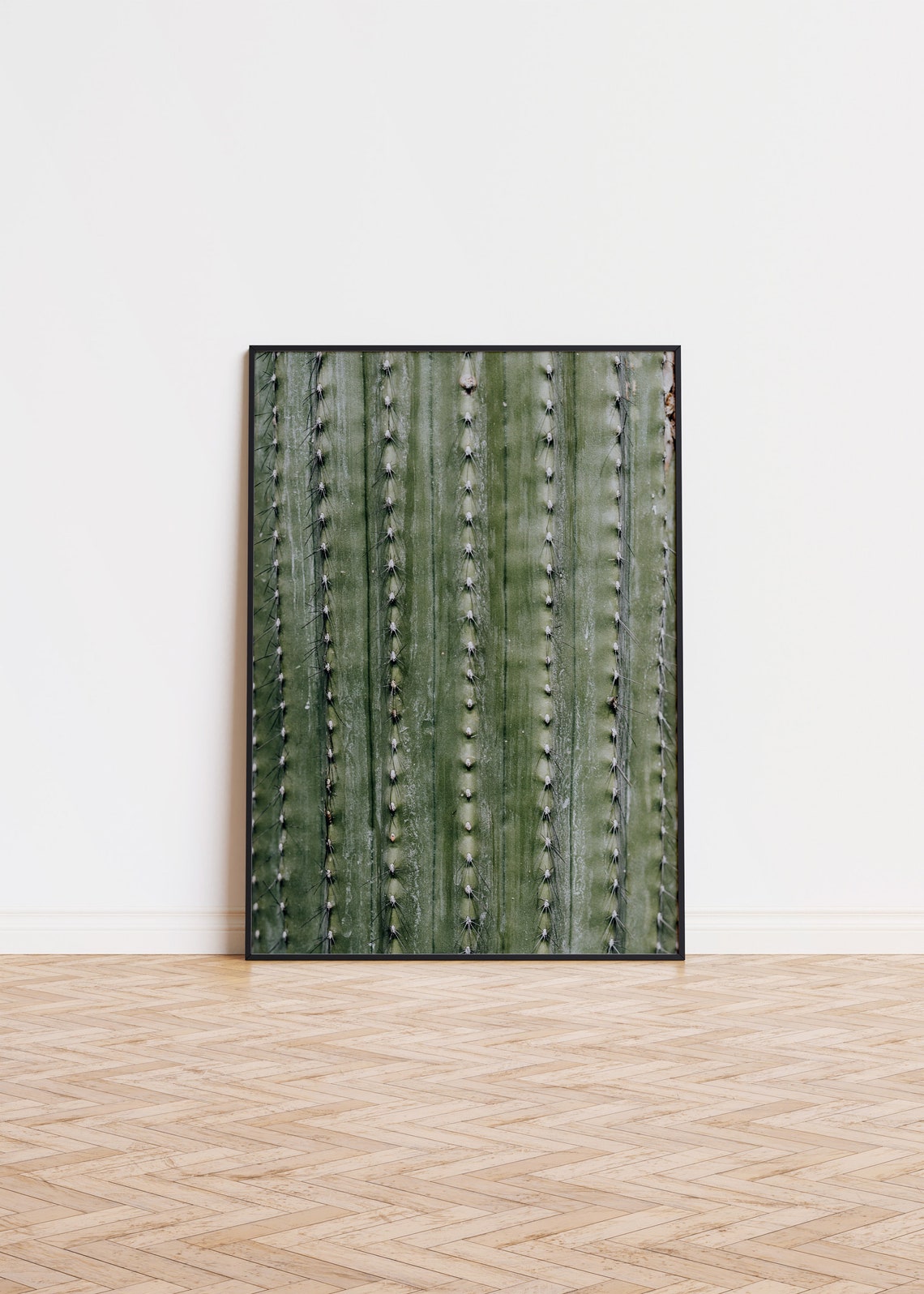Green Cactus Column Texture Sharp Spines Macro Photo Art Poster