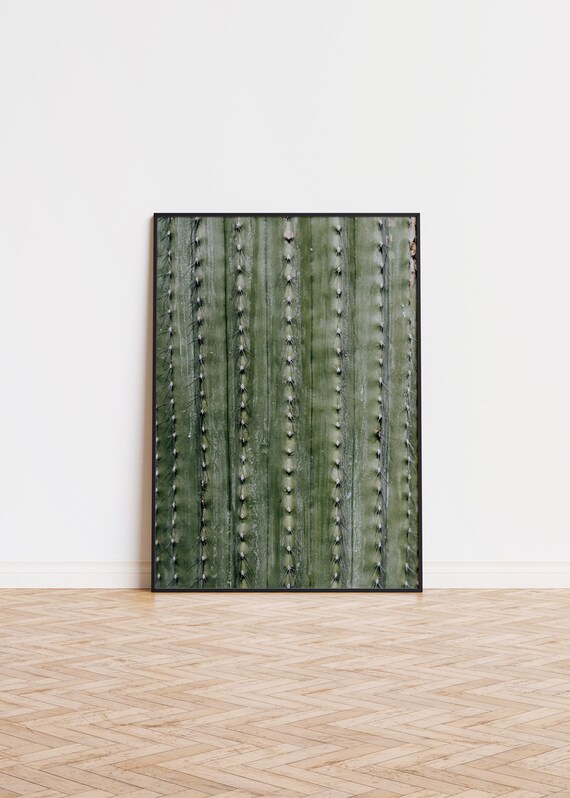 Green Cactus Column Texture Sharp Spines Macro Photo Art Poster