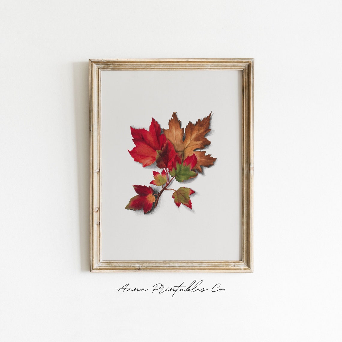 Red Maple Leaves Sprig Botanical Illustration Autumn Fall Poster - Image 2
