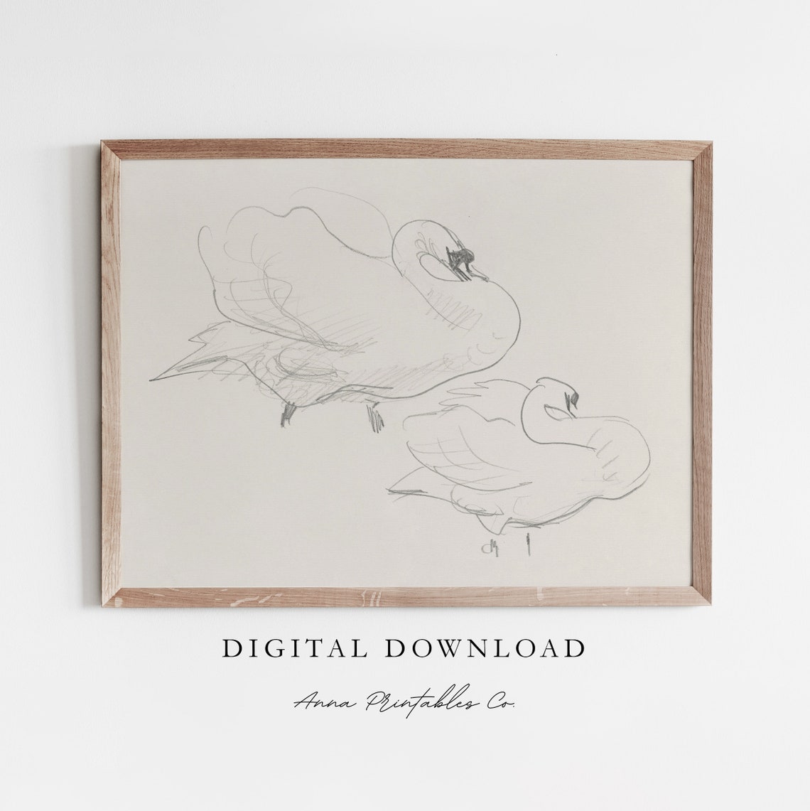 Two Swans Pencil Sketch Elegant Minimalist Bird Drawing Poster