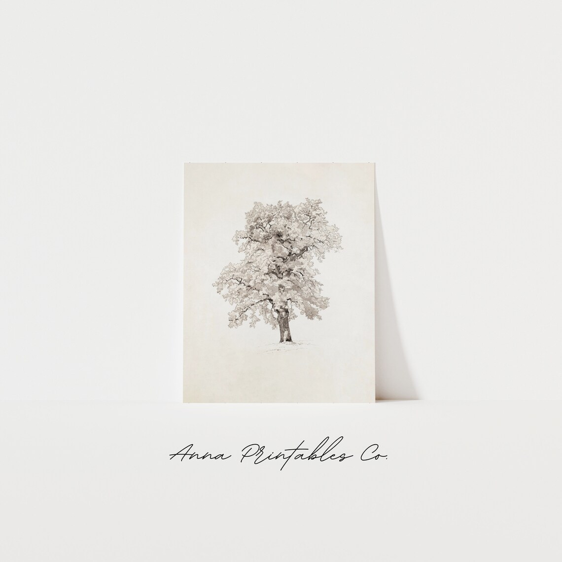 Antique Oak Tree Fine Botanical Sketch Minimalist Nature Poster - Image 2