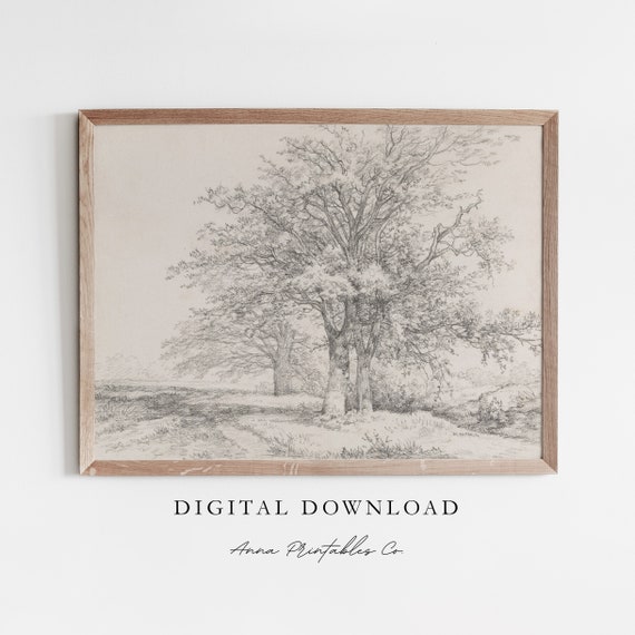 Tree Sketch Vii Antique Landscape Drawing Rustic Nature Wall Art Vintage Farmhouse Decor Fine Art Print