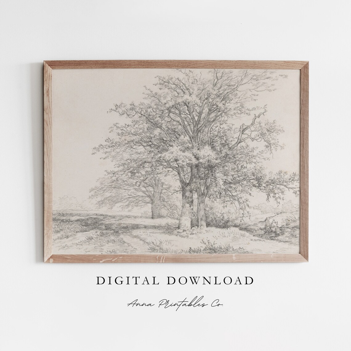Pencil Sketch of Three Majestic Oak Trees in an Open Field Poster