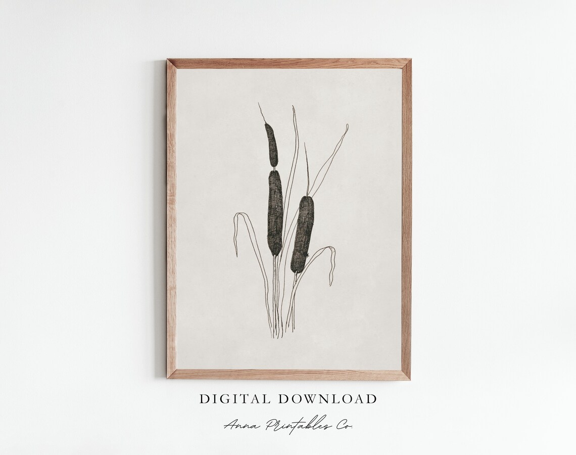 Minimalist Cattail Reeds Black Line Drawing Botanical Poster