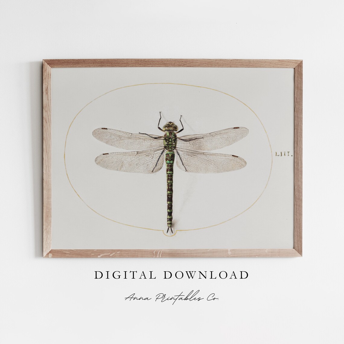 Vintage Dragonfly Illustration Art Print, Antique Aesthetic