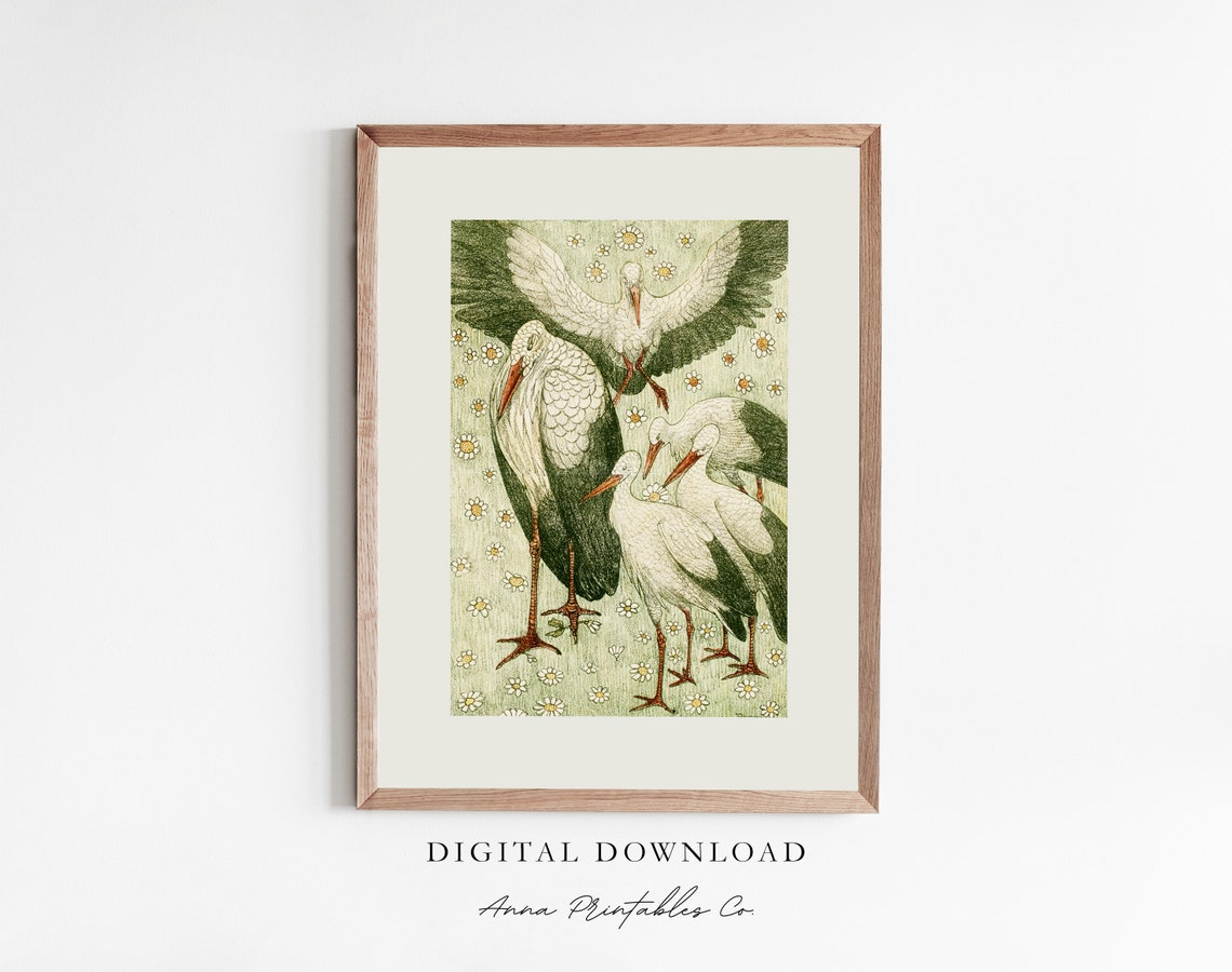 Storks In A Meadow Antique Bird Illustration Cottagecore Art Poster