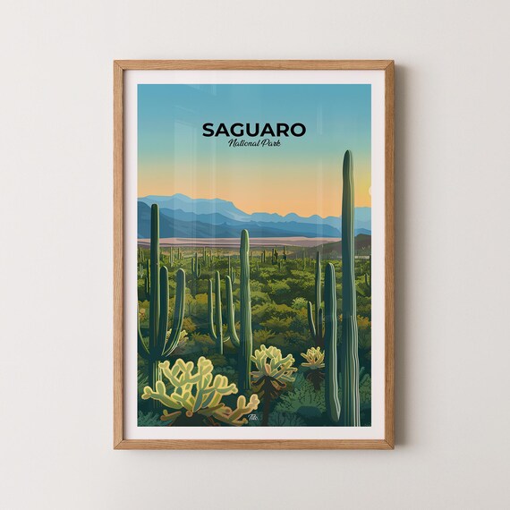 Saguaro National Park Desert Cacti Sunset Mountains Southwest Travel Poster