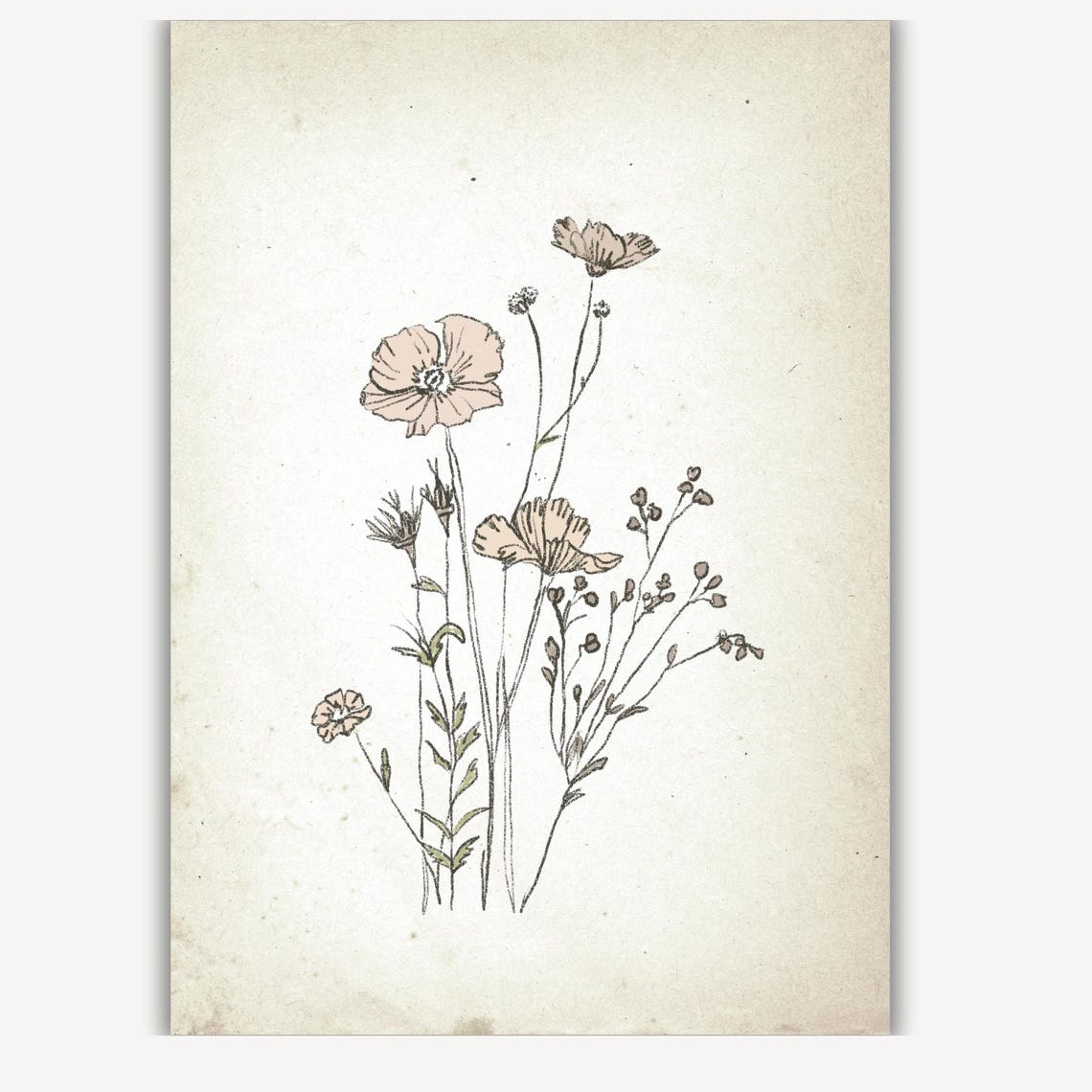 Blush Pink Wildflower Bouquet in Vintage Botanical Art Print - Image 2