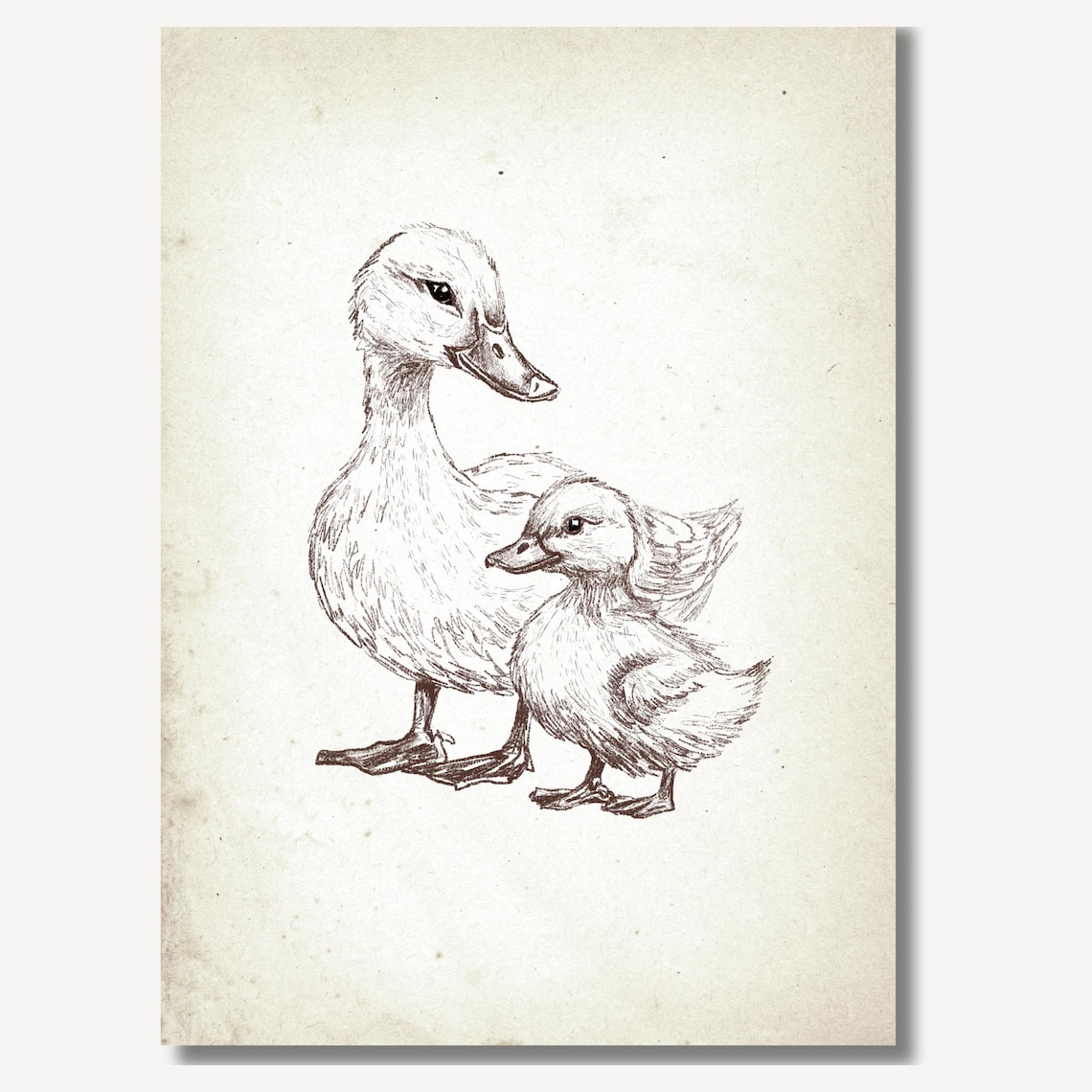 Mother Duck And Duckling Vintage Sketch Nursery Art Wall Poster - Image 2