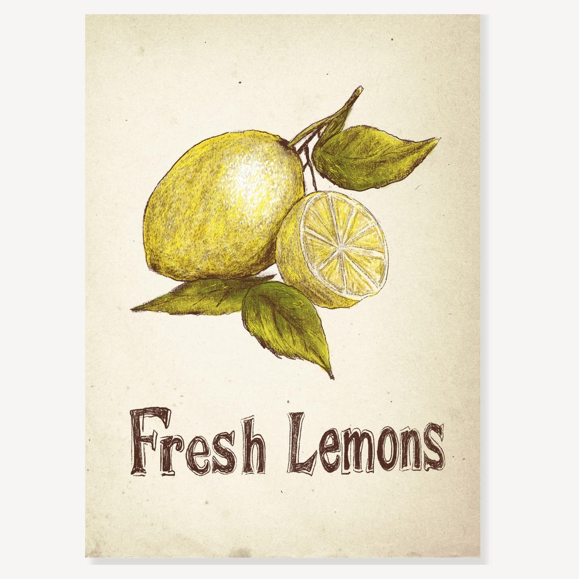 Fresh Lemons Botanical Citrus Fruit Vintage Kitchen Artwork Poster - Image 2