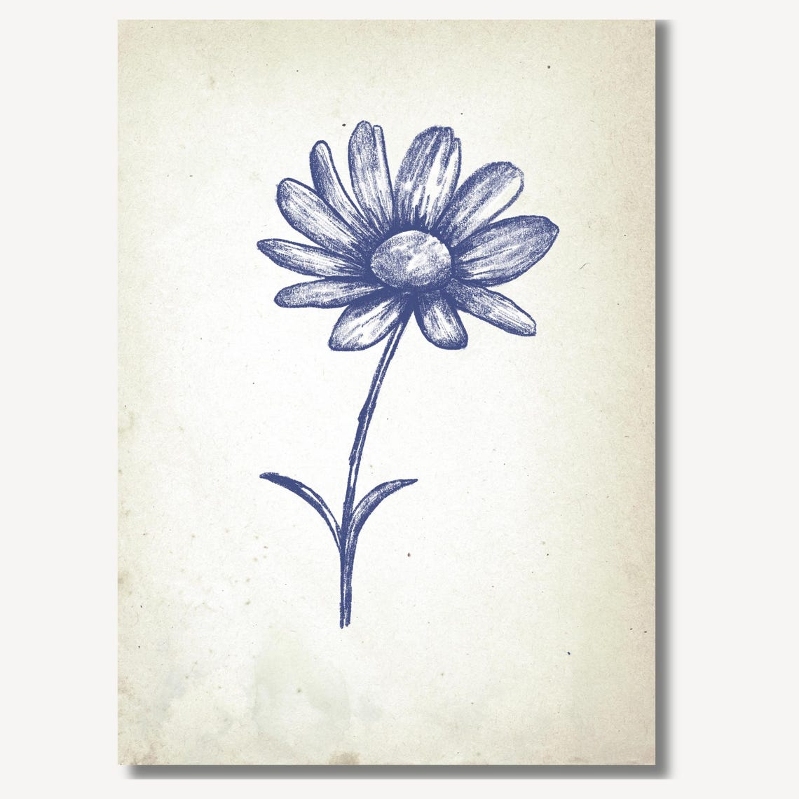 White Daisy Bloom in Vintage Blue Botanical Ink Sketch Poster - Image 2