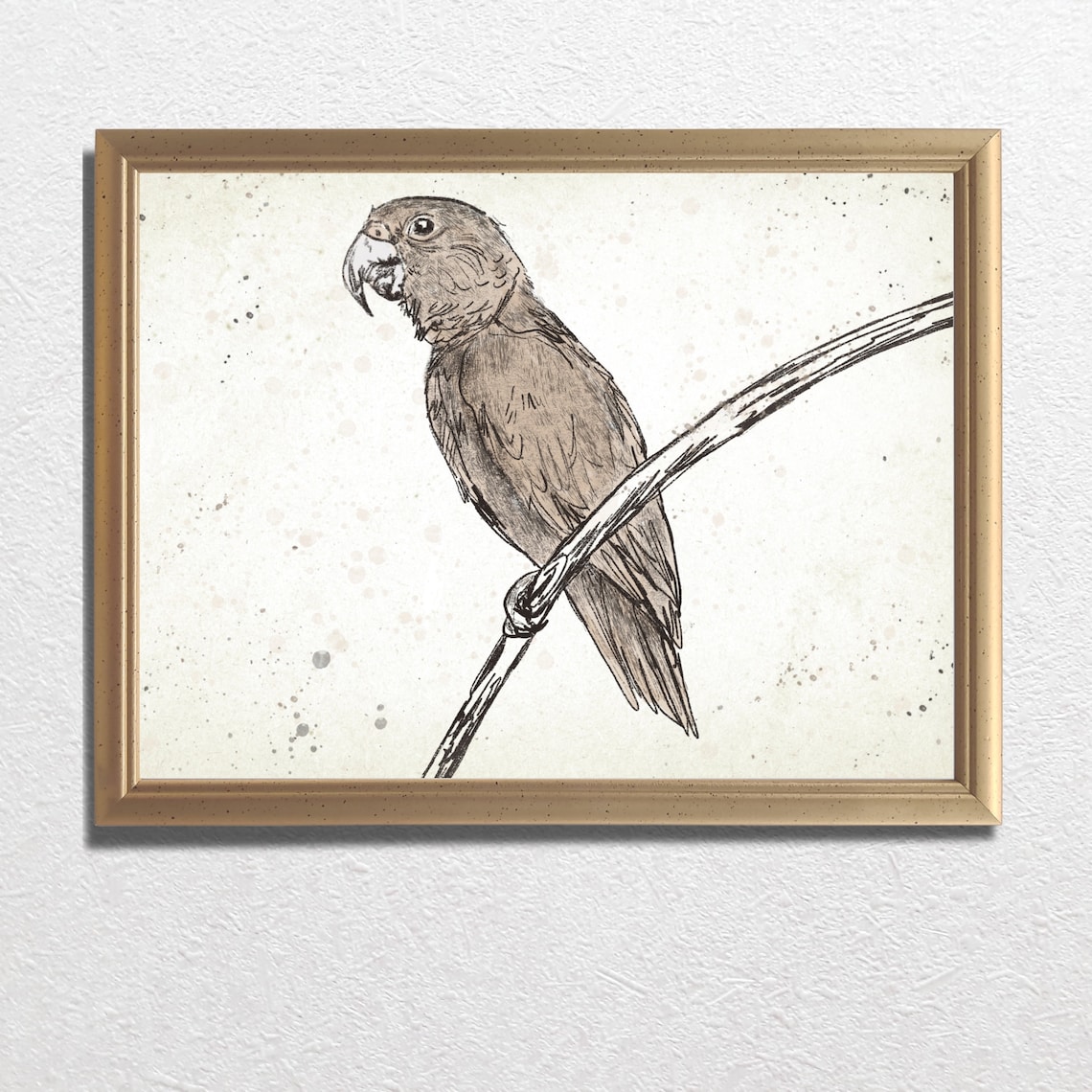 Parrot Perched On Branch Sketch Safari Bird Vintage Art Poster
