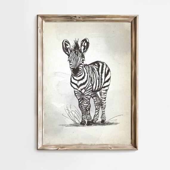 Baby Zebra Standing Sketch Safari Nursery Striped Animal Poster