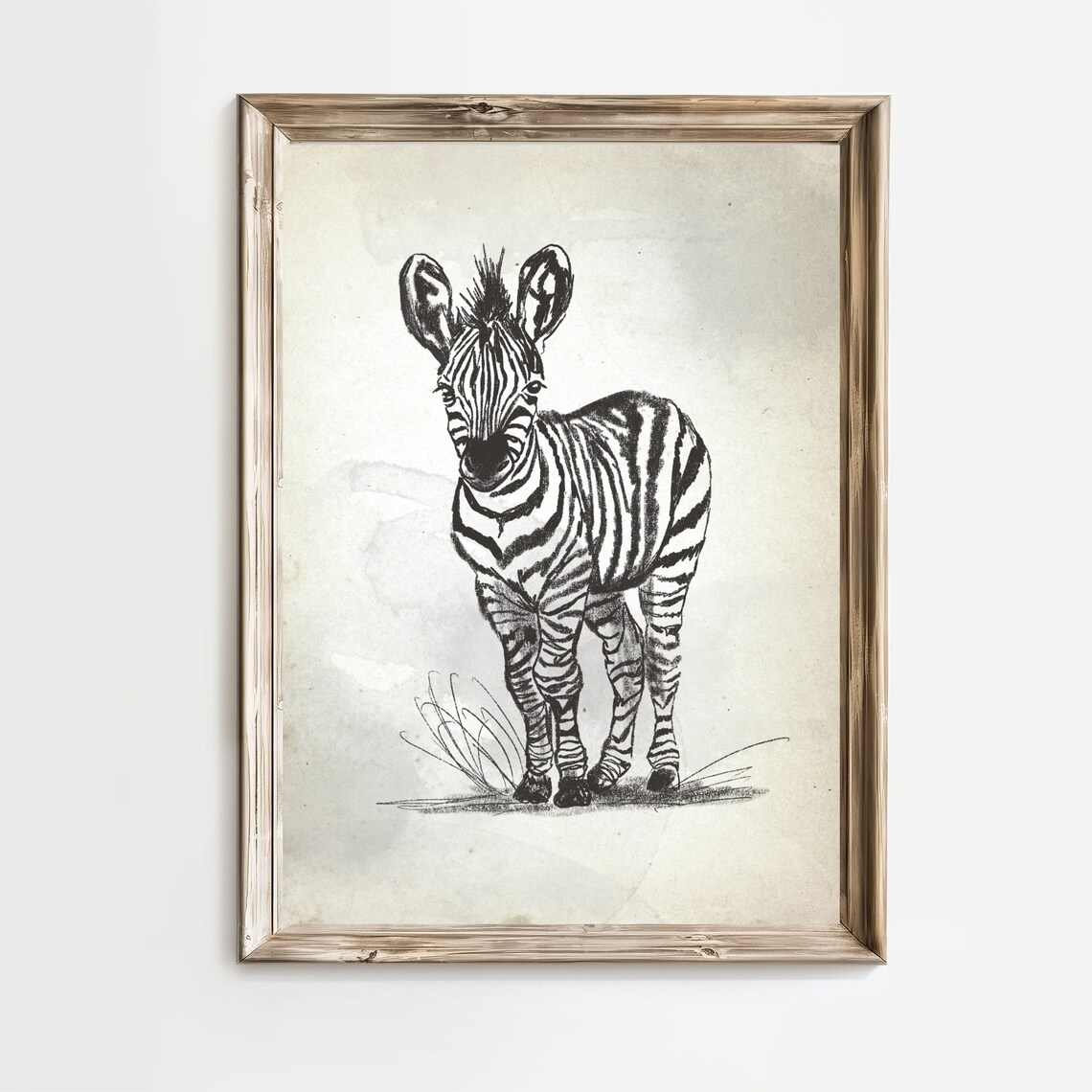 Baby Zebra Standing Sketch Safari Nursery Striped Animal Poster