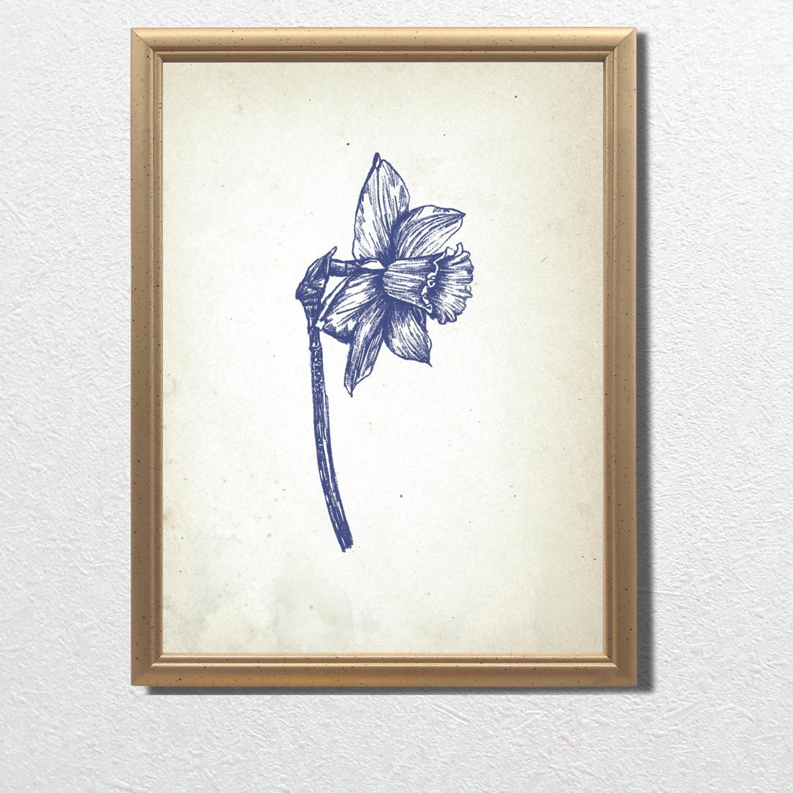 Side View Daffodil in Vintage Blue Botanical Ink Sketch Poster - Image 2