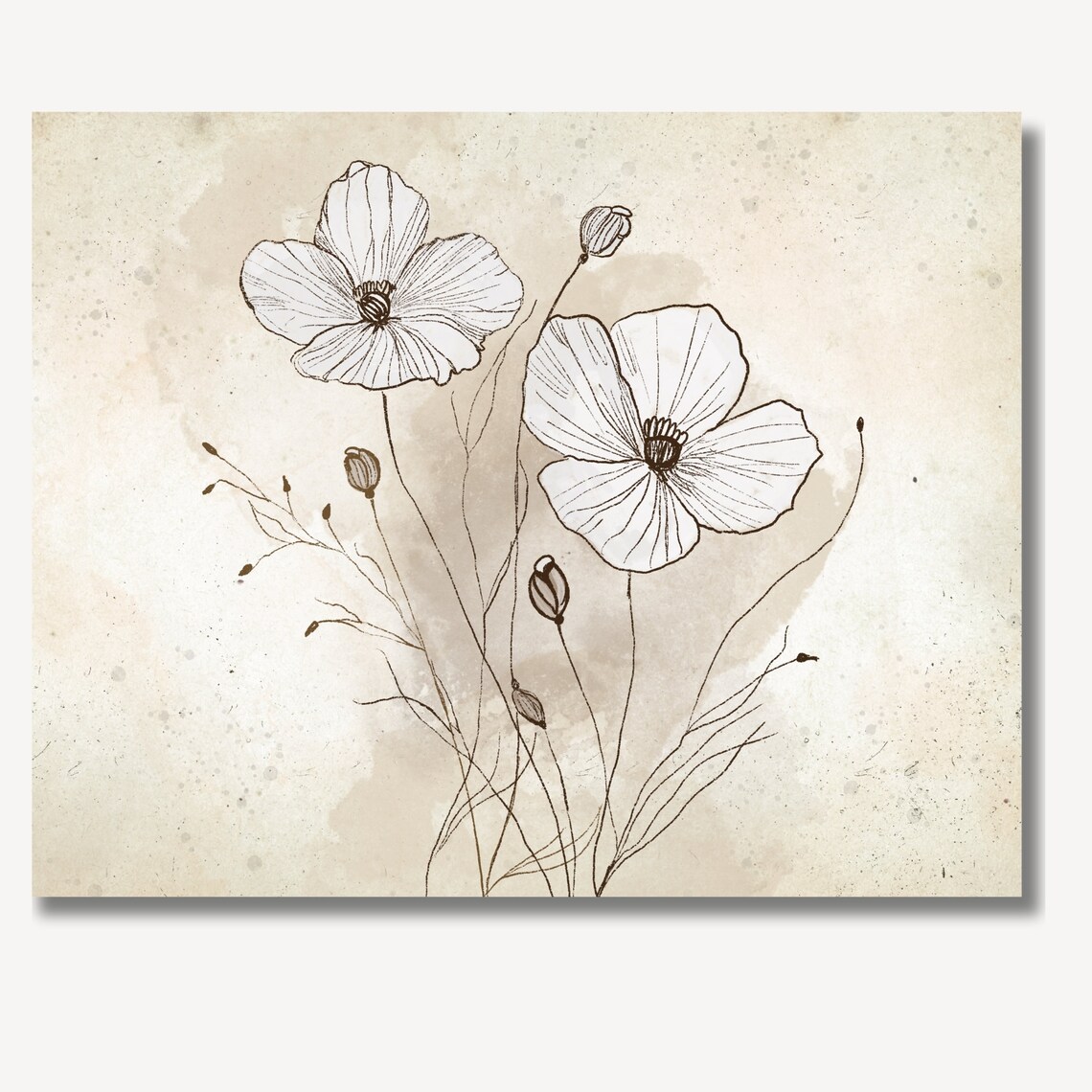 White Poppies in Sepia Ink Botanical Sketch Vintage Art Poster - Image 2