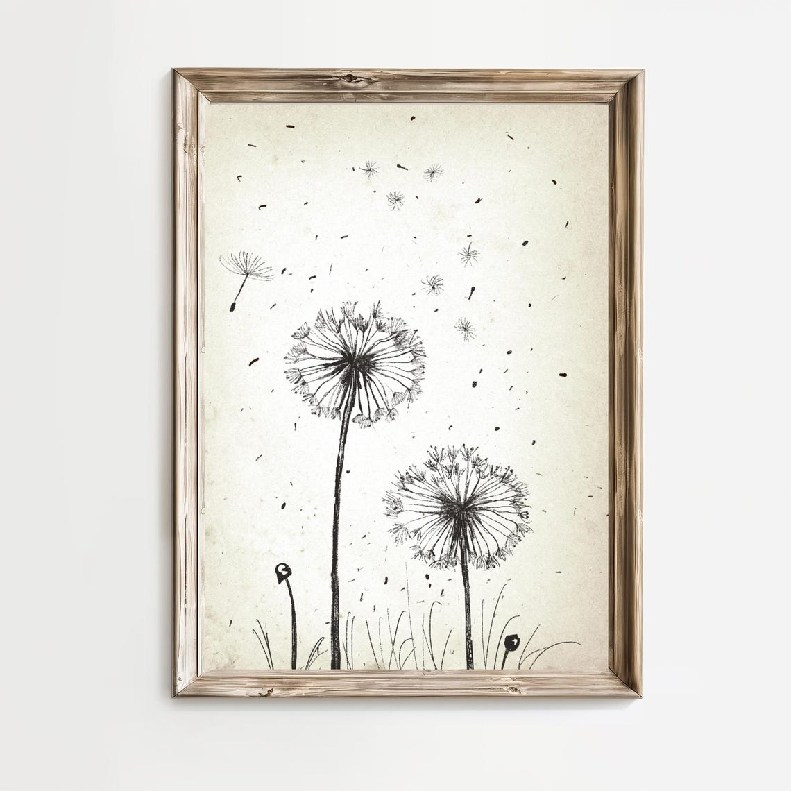 Dandelion Seed Heads Blowing in the Wind Botanical Art Print