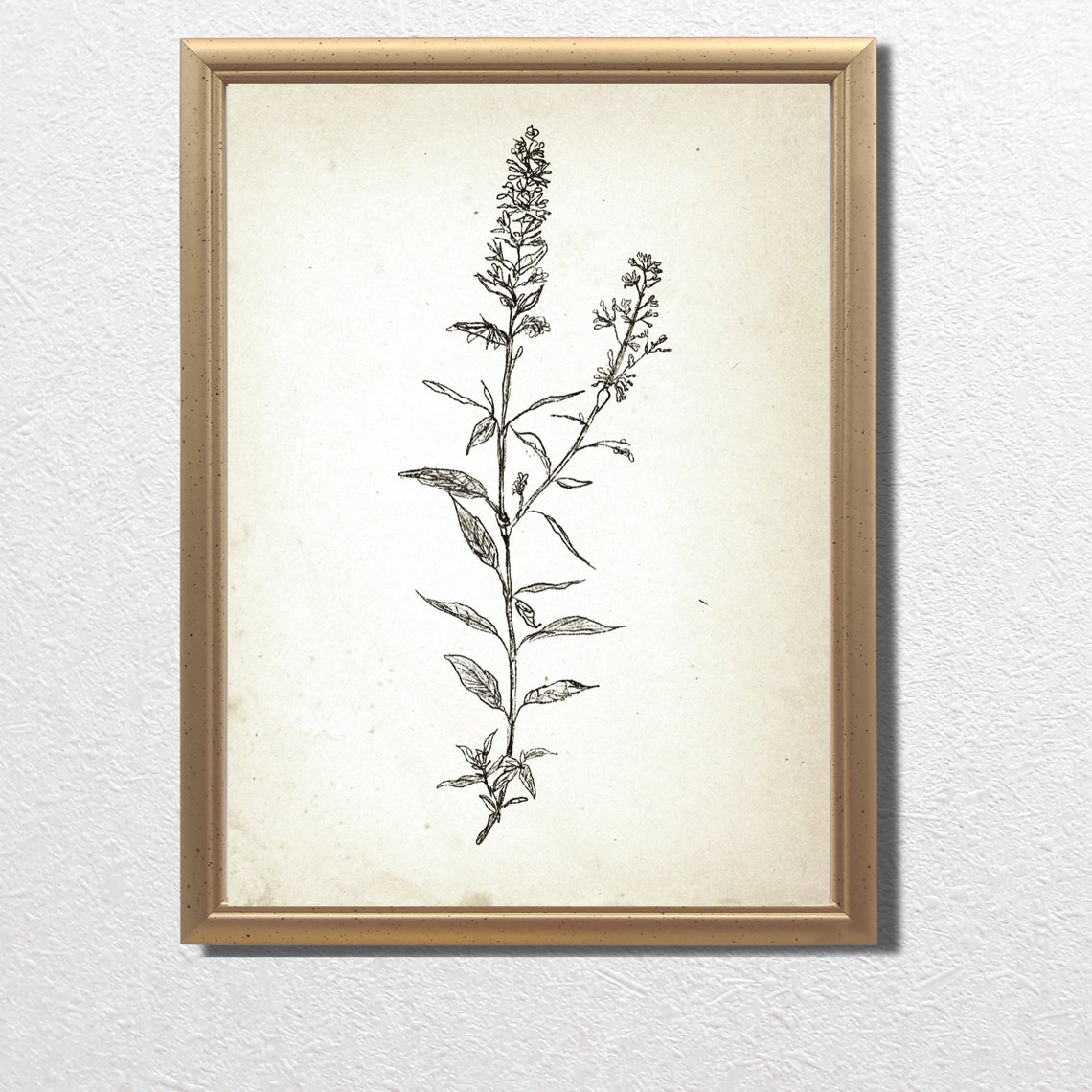 Tall Vintage Botanical Herb Stem Ink Sketch Rustic Farmhouse Print - Image 2