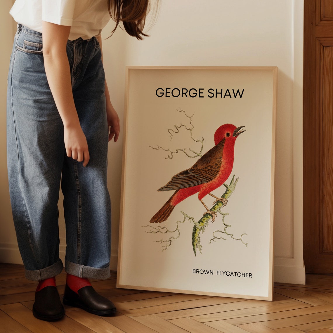 George Shaw Brown Flycatcher Vintage Bird Illustration Poster - Image 3
