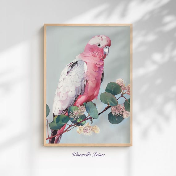 Galah Cockatoo Wall Art Print Pink Australian Parrot With Eucalyptus Blossoms Nursery Illustration