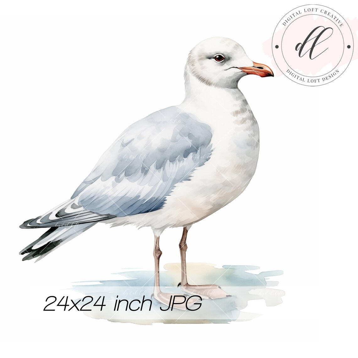 Watercolor Seagull Standing on Beach Coastal Bird Art Poster