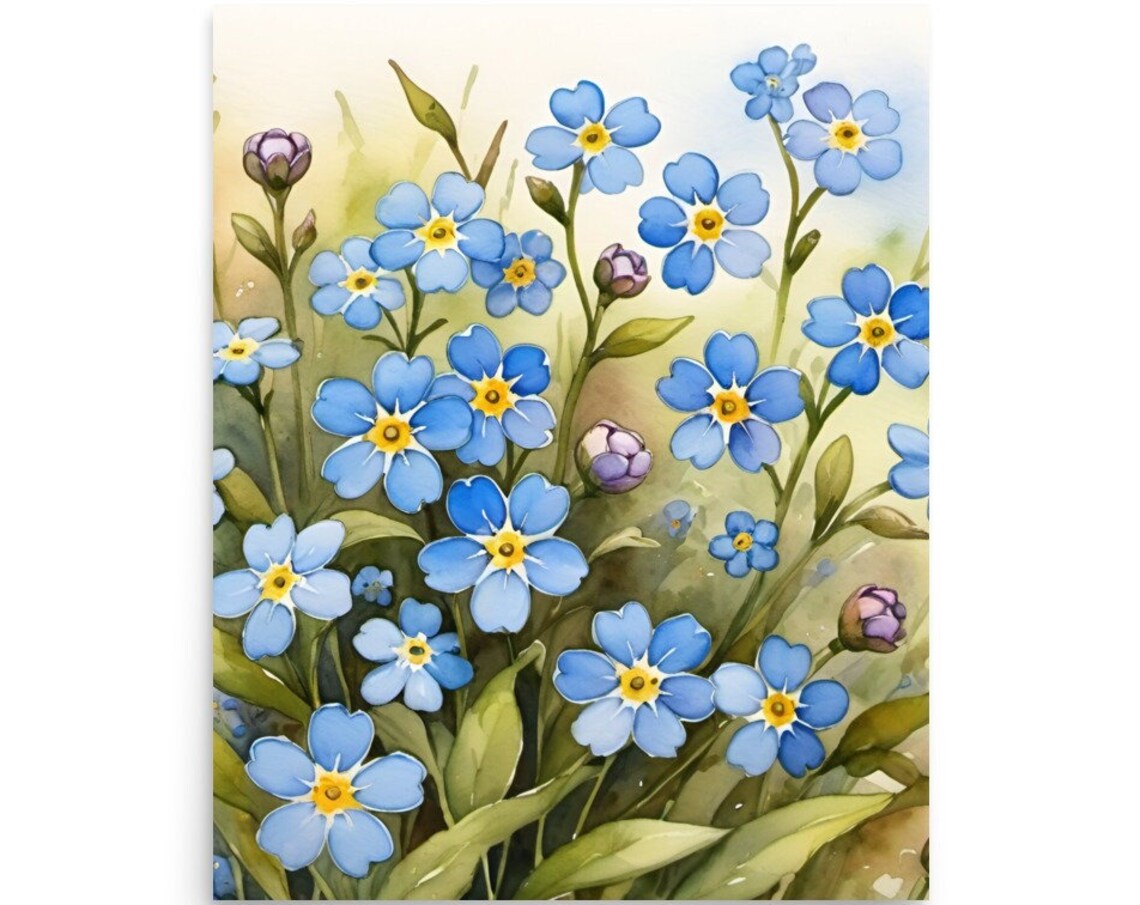 Blue Forget Me Not Flowers Watercolor Delicate Floral Botanical Poster