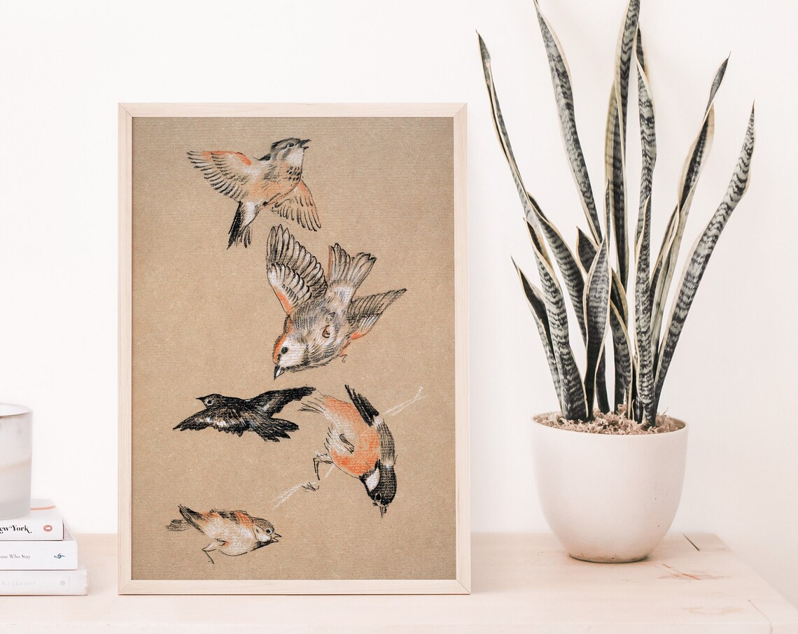 Five Finches In Flight Vintage Bird Study Illustration Wall Art