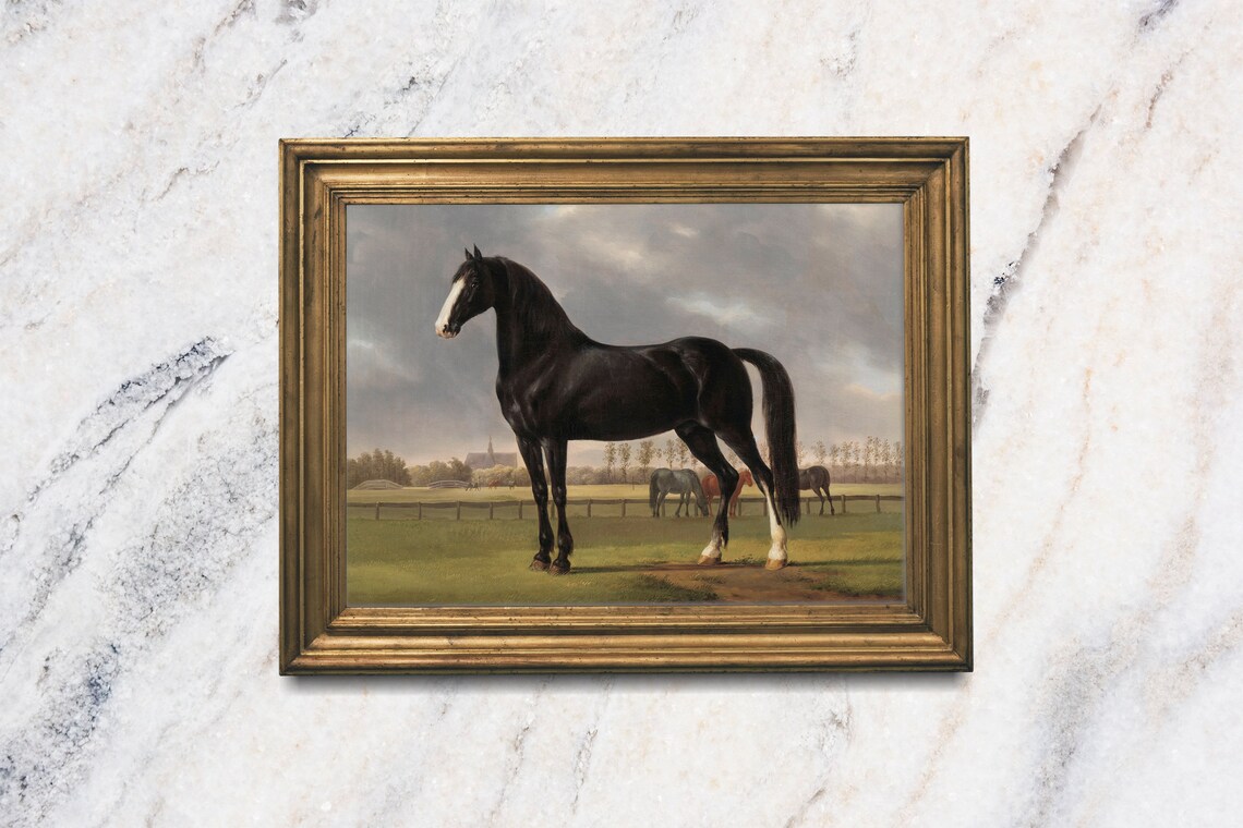 Antique Black Horse Portrait Pasture Vintage Equestrian Oil Art Print