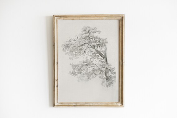 Antique Tree Drawing, Rustic Vintage Sketch