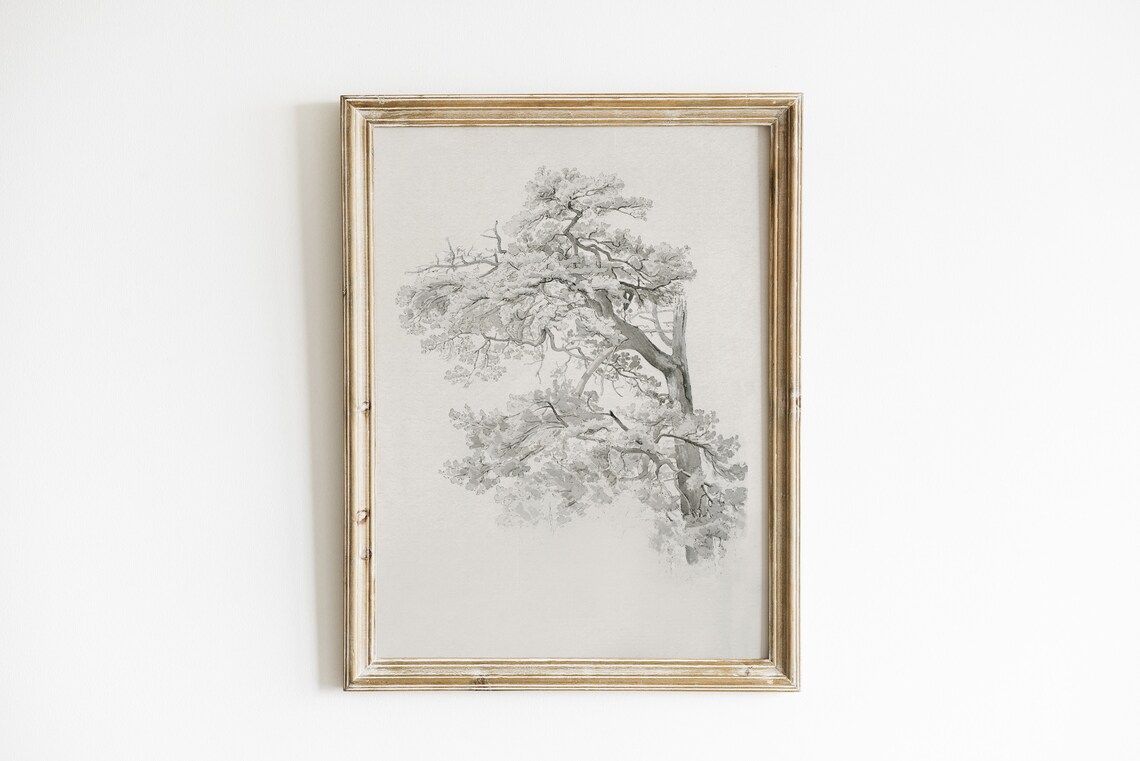 Antique Tree Drawing, Rustic Vintage Sketch