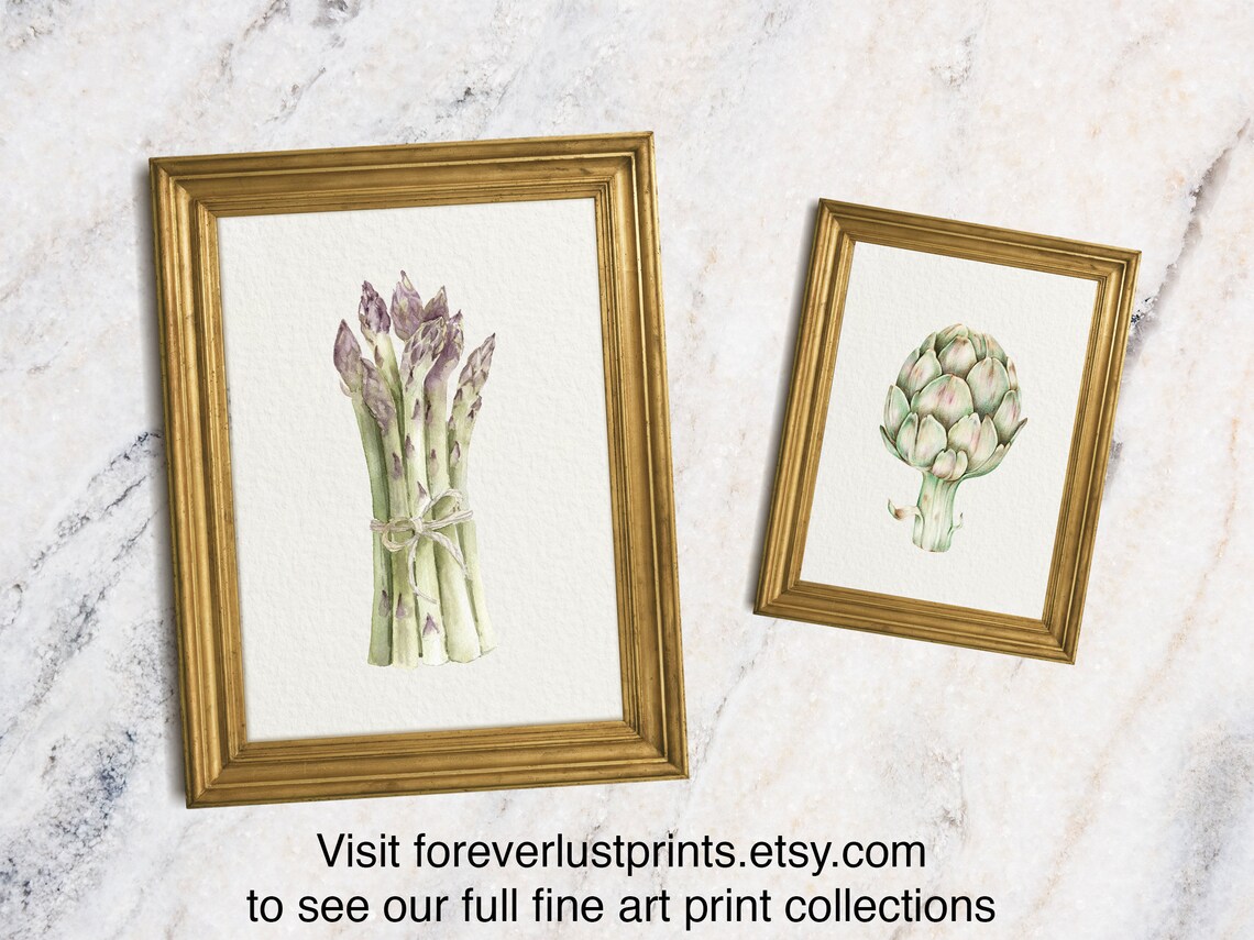 Artichoke Watercolor Botanical Kitchen Still Life French Country Wall Art Print - Image 2