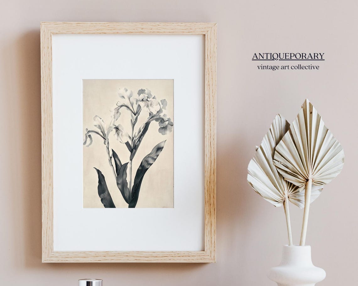 Vintage Botanical Lily Illustration Monochrome Antique Poster - Image 5
