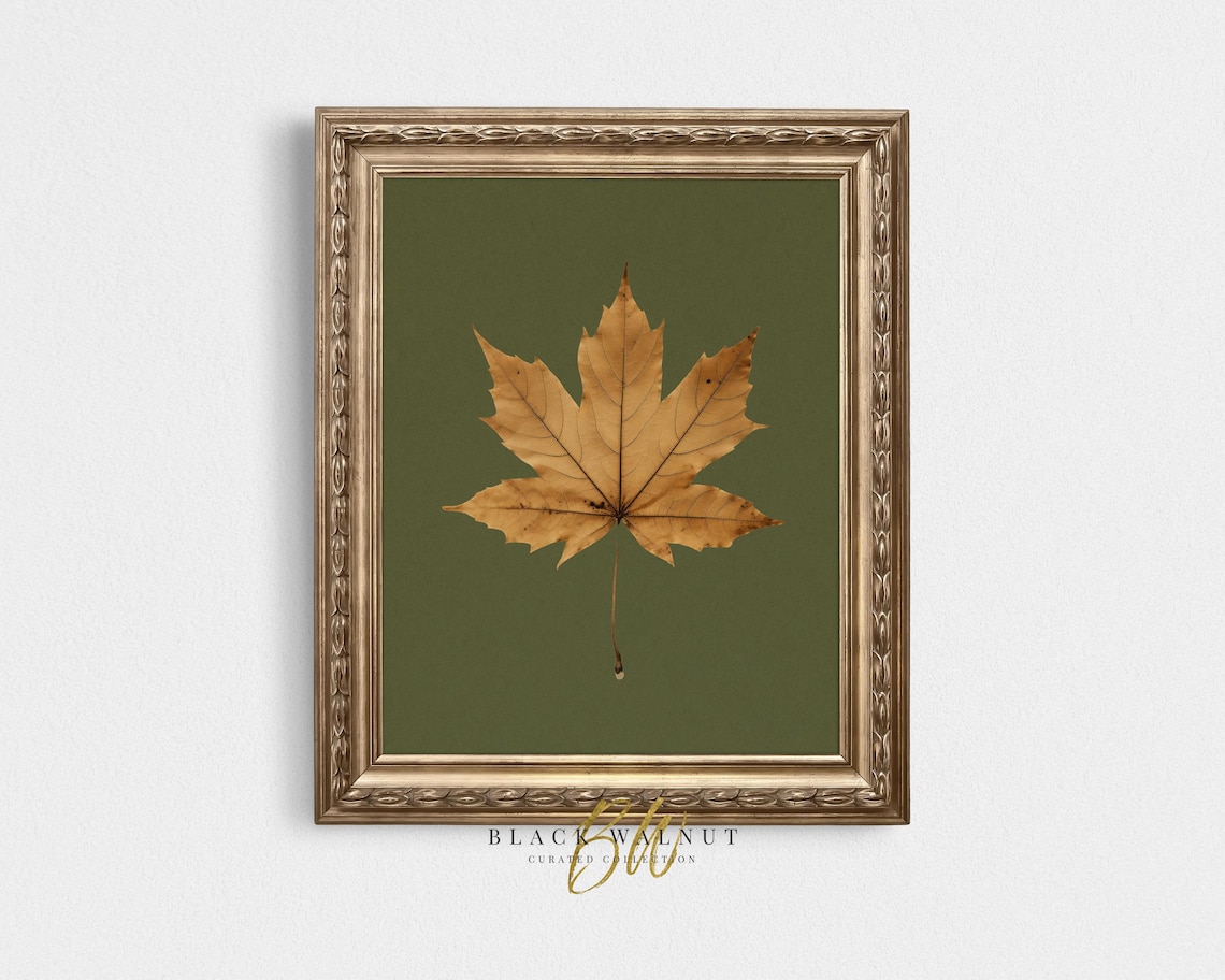Fall Leaf Print, Vintage Autumn Botanical Art Print