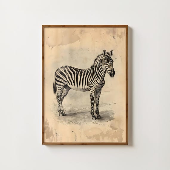 Vintage Zebra Print, Safari Animal Wall Art Print