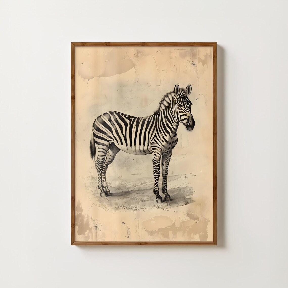 Vintage Zebra Print, Safari Animal Wall Art Print