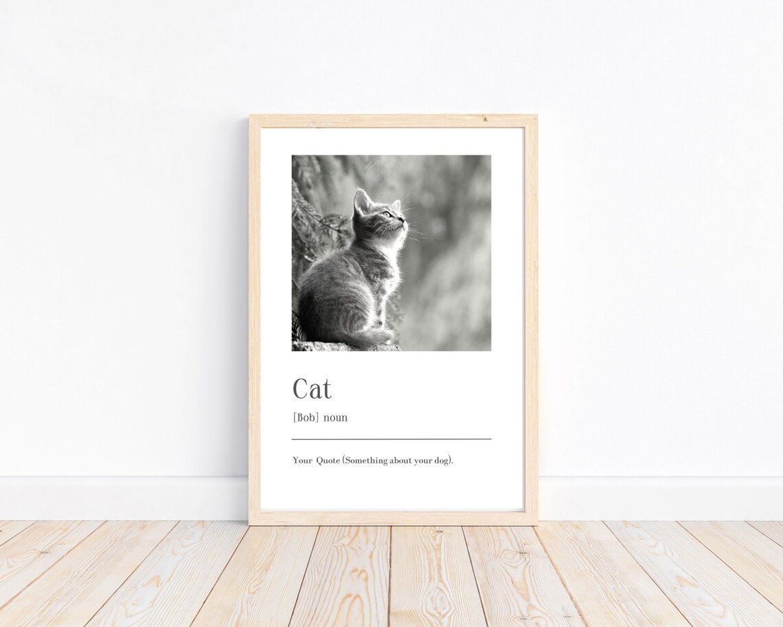 Cat Definition Mia Funny Personalised Pet Lovers Photo Print - Image 3