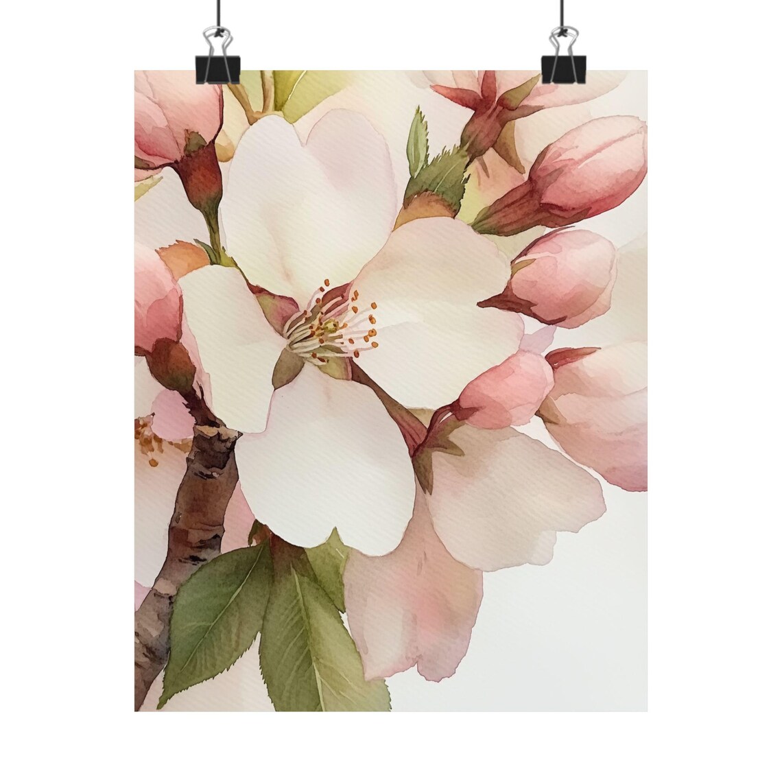 Pink Cherry Blossom Branch Watercolor Botanical Floral Poster