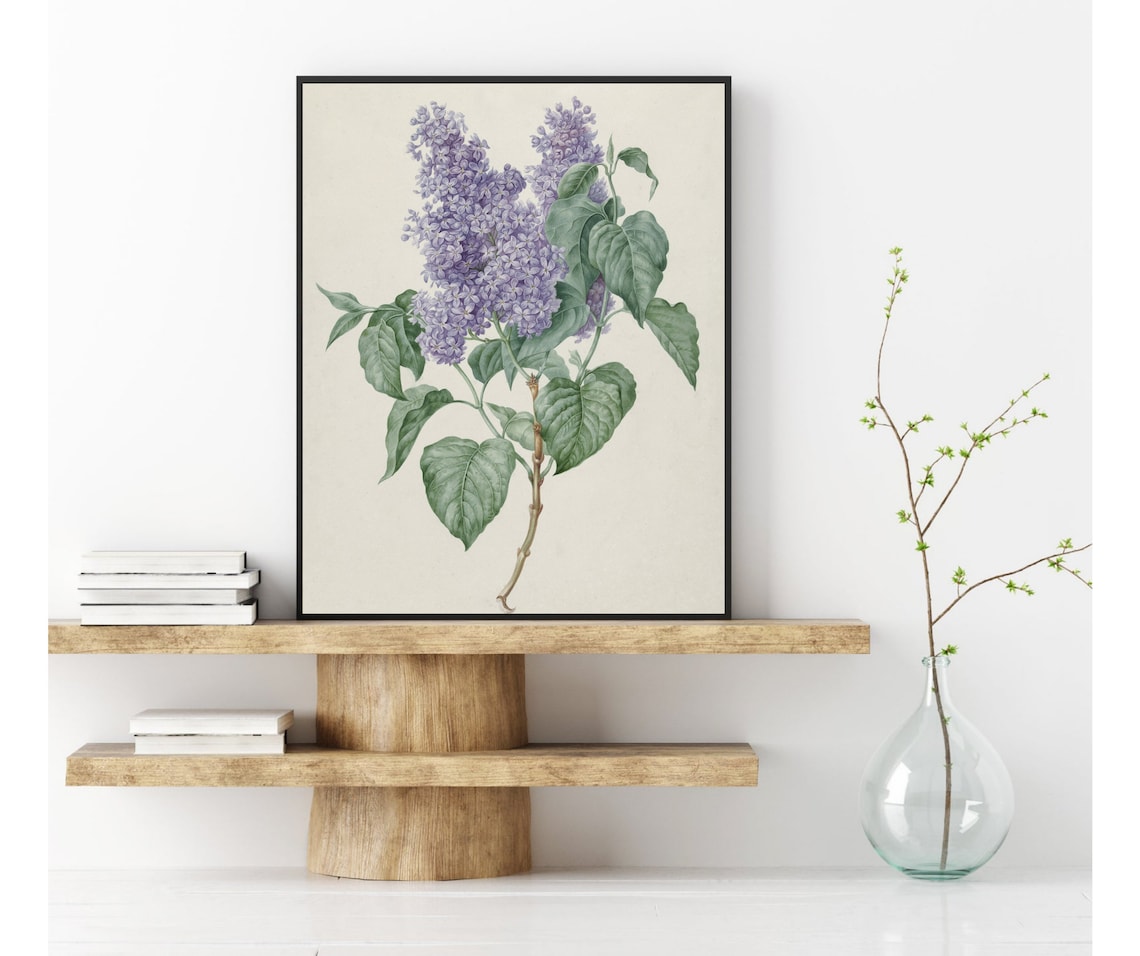 Lilacs Vintage Botanical Art Print, Purple Floral Still Life - Image 2