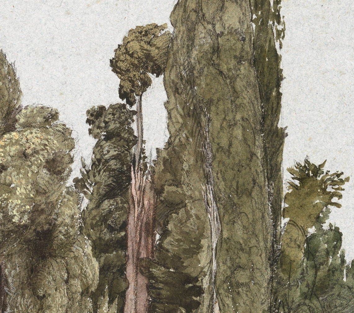 Tall Cypress Trees Muted Green Botanical Study Minimal Nature Wall Art - Image 3