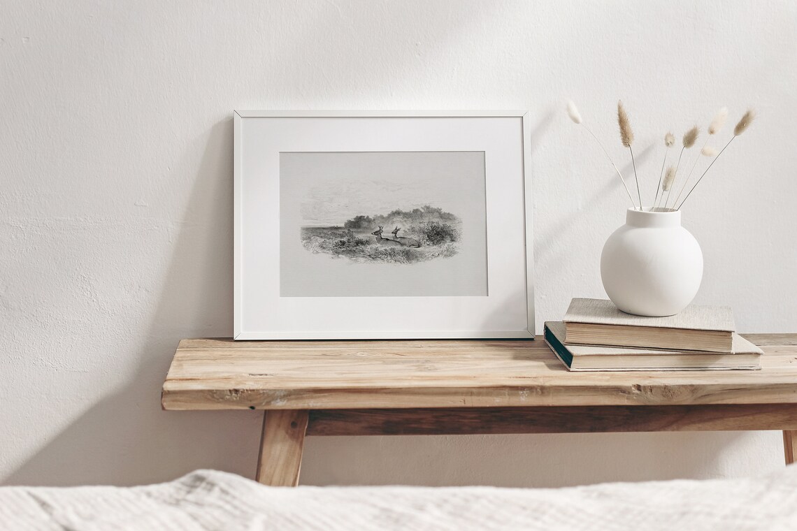Resting Deer Vintage Black And White Art Print - Image 4